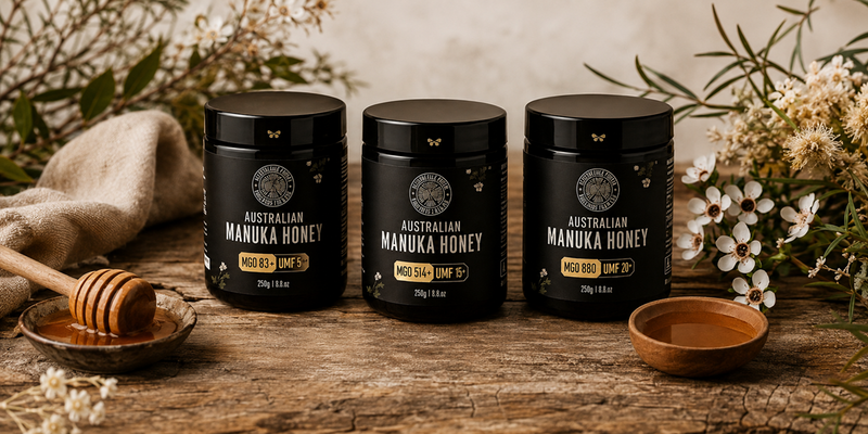 Buy Manuka Honey Online: Quality, Benefits and Wholesale Options in Australia