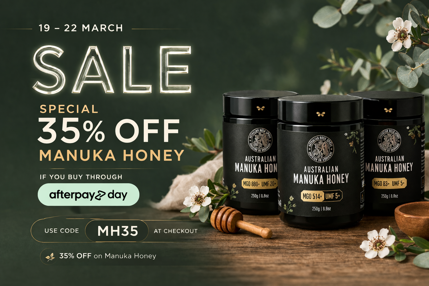 Image with text section